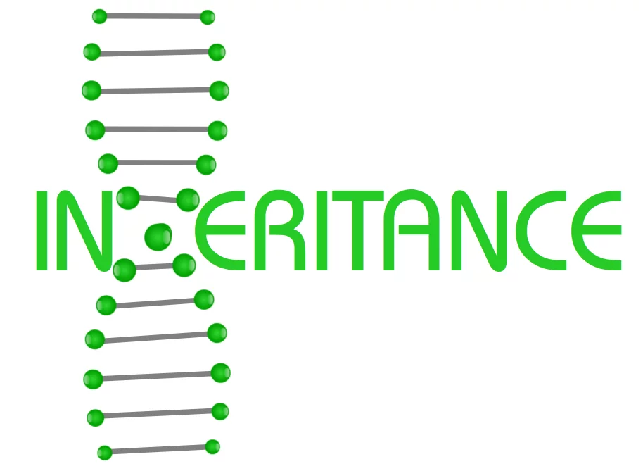 Inheritance as DNA