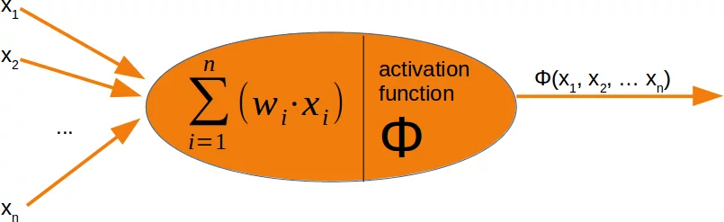 Detailled view of a Perceptron of a Neural Network