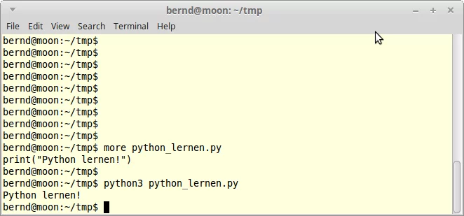 Starten des Python-Skriptes in der Bash mit