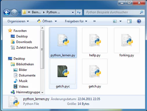 Starten eines Python-Scripts unter Windows.